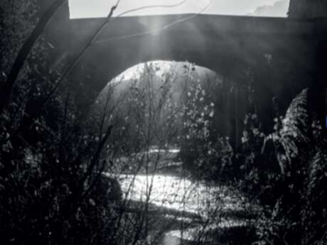 Water Exhibition at the Municipal Library
