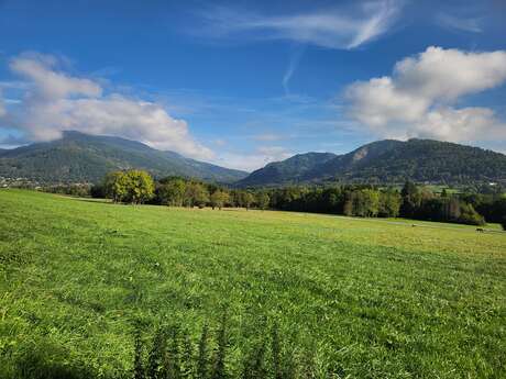 Sentier de randonnée - Les Balcons des Grands Prés - Circuit 1
