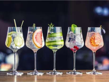 Découverte des Gins