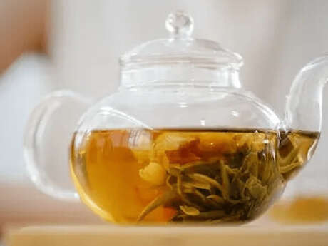 Atelier - Ma petite pharmacopée familiale