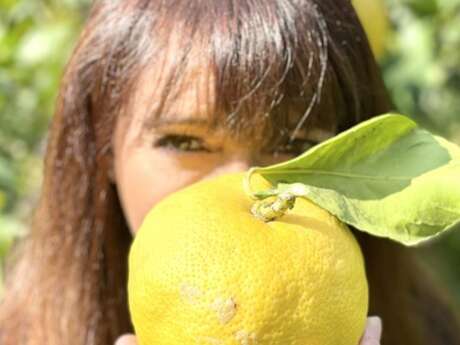 La fattoria dei limoni