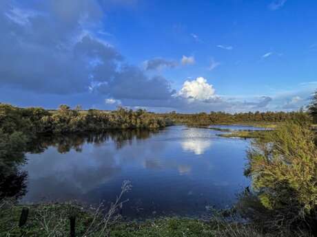 Partizipatives Projekt in den Sümpfen von Loix