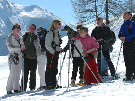 Rando Passion - rencontre avec la faune sauvage