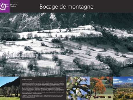 Exposition temporaire : "Empreintes paysagères"