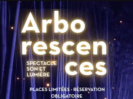 JEP 2026 : Spectacle nocturne à la Bambouseraie