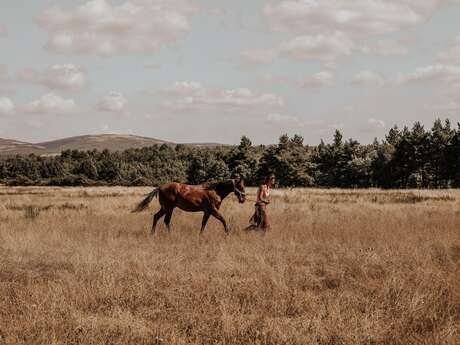 Prestations équestres avec Holy'Day Ranch