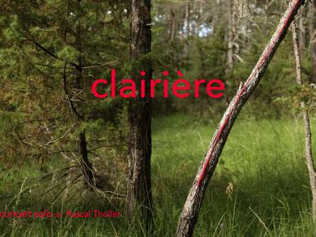 Spectacle: Clairieres de Pascal THOLLET