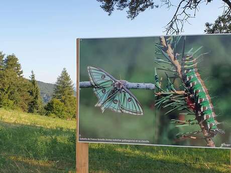 Exposition naturaliste en plein air