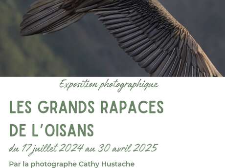 Photo exhibition - the great birds of prey of the Oisans