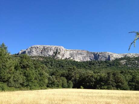 La Sainte Baume - Circuit 3