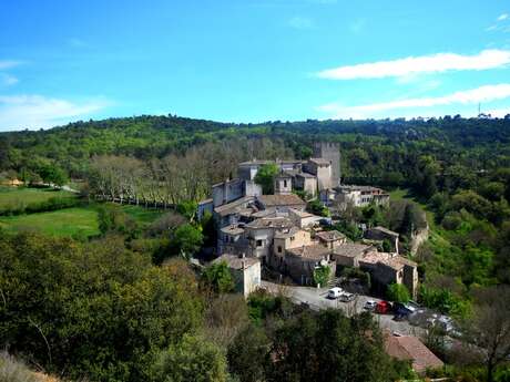 ESPARRON-DE-VERDON - Autour de la Colle