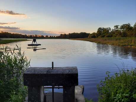 Besuch eines Teichs in Coopépoisson