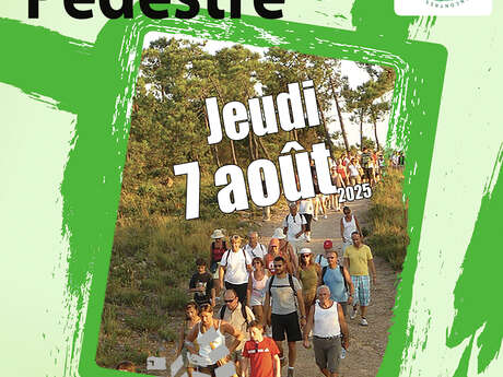 Randonnée Pédestre Estivale