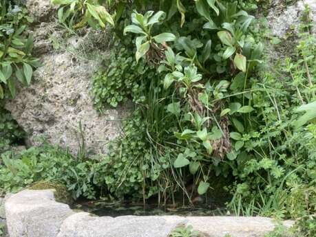 Fountain de la rue des caves