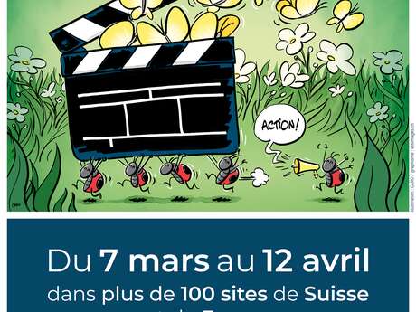 Festival du film vert