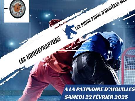 Match de Hockey sur Glace