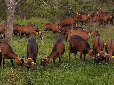 Ferme du Maupas - Sophie et Thierry Perez