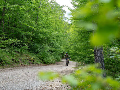 N°3 Circuit VTT et Gravel : Le Vallon du Riou