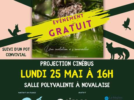 Cinébus : édition spéciale Fête de la Nature