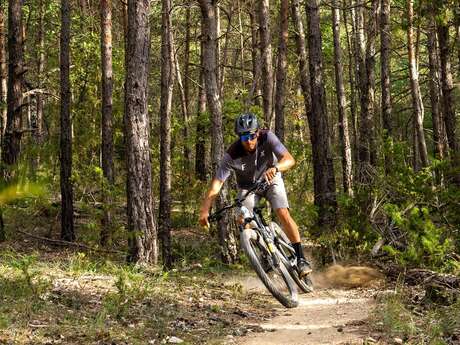 Site VTT FFC - Provence Verdon - Circuit 45 - Bleu - Artignosc-sur-Verdon