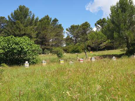 Les Abeilles de la Lisette