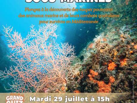 Diaporama interactif : Guerres et paix sous-marines