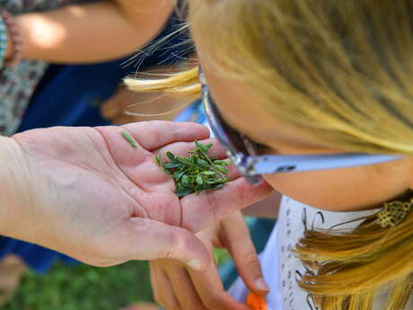 Les vacances au musée :  visite flash, que faisaient les romain au printemps ?