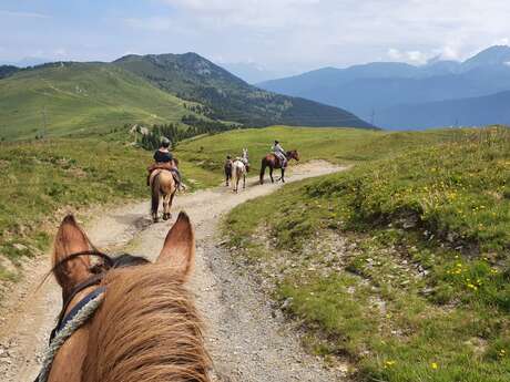 Les Chevaux des Crêts