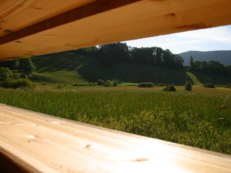 Découverte des oiseaux avec la LPO