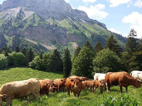 La Ferme de Pré Morin