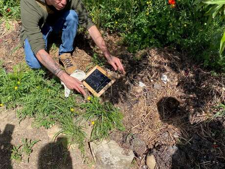 Balade «À la rencontre des plantes sauvages»