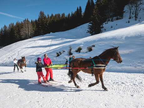 Ski-joëring initiation
