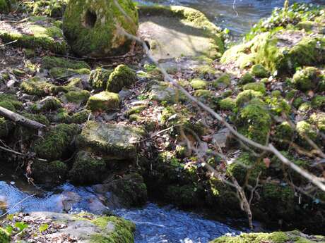 JEP 2025 - Les Moulins des Gorges du Cher