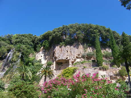 Caves's garden