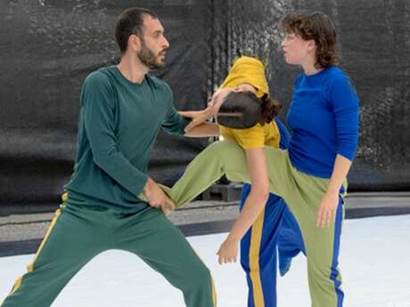 BIRDS - Festival Go.Elans - Soirée partagée 4 compagnies