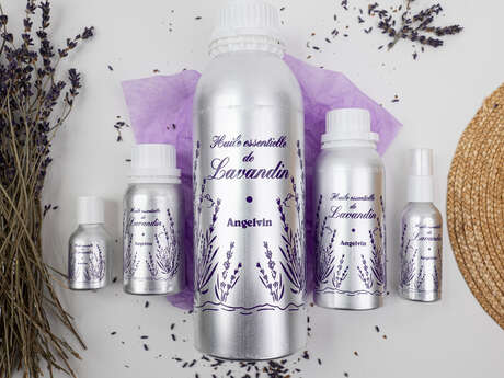 Visite de la distillerie Angelvin