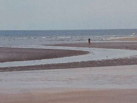 L’Homme atlantique précédé par Les mains négatives