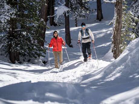 Itinéraire raquettes Le Belvédère