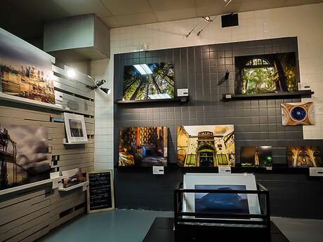 Galerie F-C  Photography