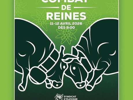 Combat de Reines