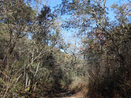 Itinéraire pédestre Oraison "Sainte Anne"