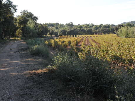 The bridle path - trail no. 6