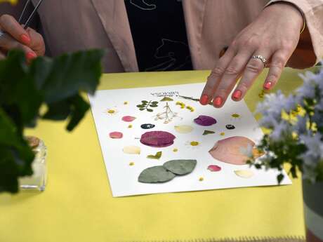 Atelier de création d'herbier encadré - Madame Mimosa