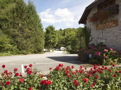Camping Moulin Dollay