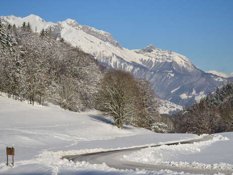 Balade d'hiver en Val de Tamié