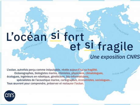 Exposition "L'Océan, si fort et si fragile"