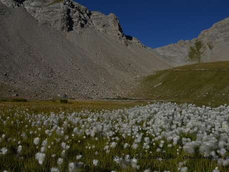 Retrouvance randonnée Haut Verdon Mercantour