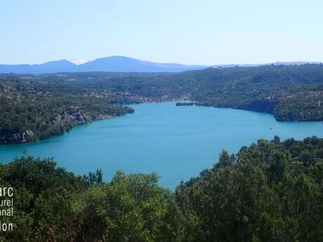 Remonter le temps : sortie flore et géologie