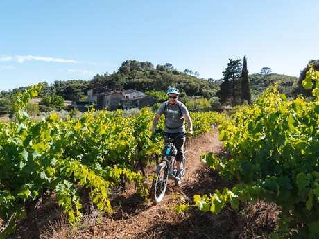 Balades en trottinette à la fête du vin nouveau