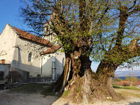 Visite patrimoine ; Villes